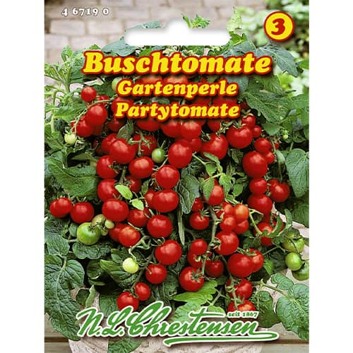 Buschtomate Gartenperle interface.art Bild 1 Buschtomate Gartenperle interface.image 1 interface.art 86074