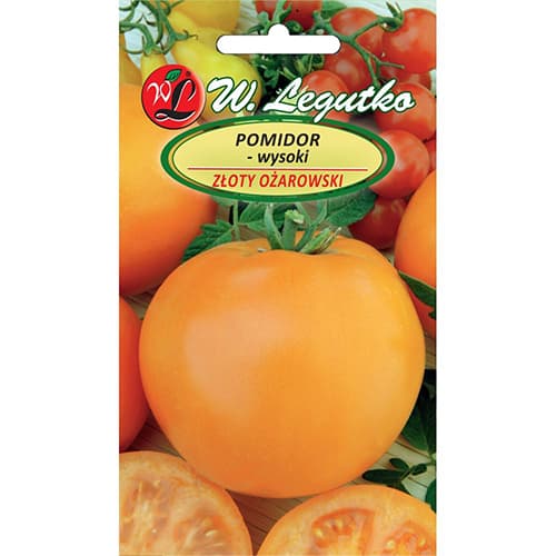 Tomate Zloty Ozarowski interface.art Bild 1 Tomate Zloty Ozarowski interface.image 1 interface.art 86889