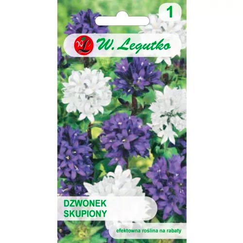 Traubenglockenblume, mischung Legutko interface.art Bild 1 Traubenglockenblume, mischung Legutko interface.image 1 interface.art 50098