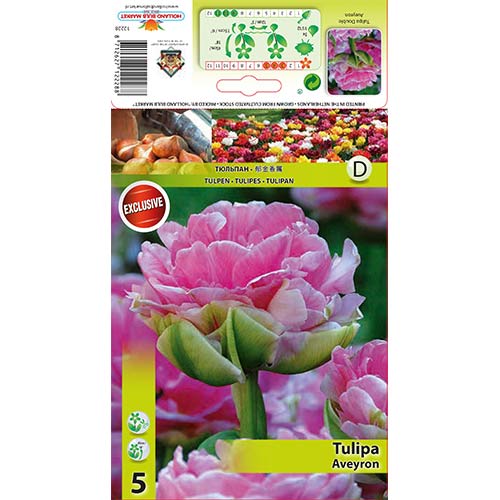 Tulpe Aveyron interface.image 1 interface.art 68075