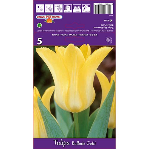 Tulpe Ballade Gold interface.image 1 interface.art 67478