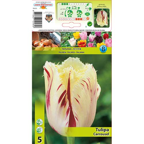 Tulpe Carrousel interface.image 1 interface.art 70298