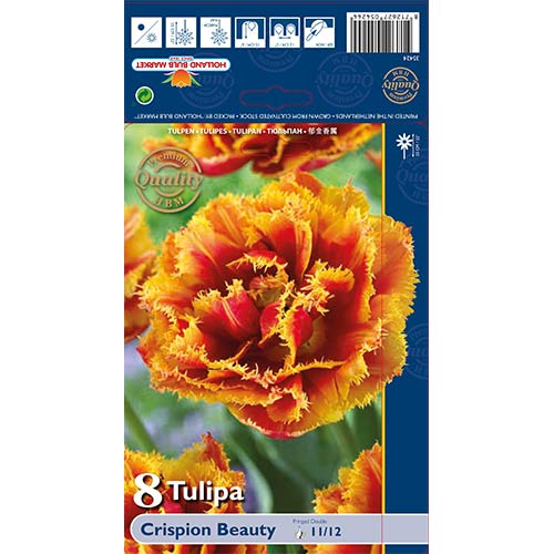 Tulpe Crispion Beauty interface.image 1 interface.art 68027