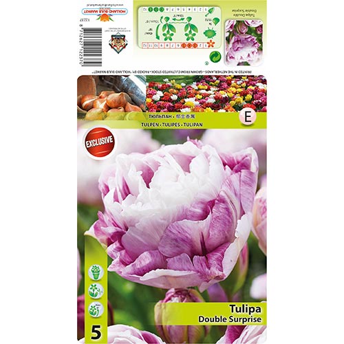 Tulpe Double Surprise interface.art Bild 1 Tulpe Double Surprise interface.image 1 interface.art 68405