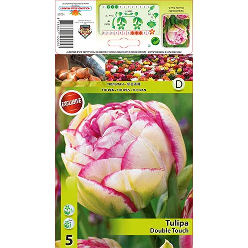 Tulpe Double Touch interface.art Bild 1 Tulpe Double Touch interface.image 1 interface.art 67458