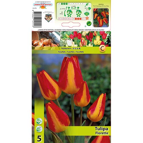 Tulpe Florette interface.image 1 interface.art 70305