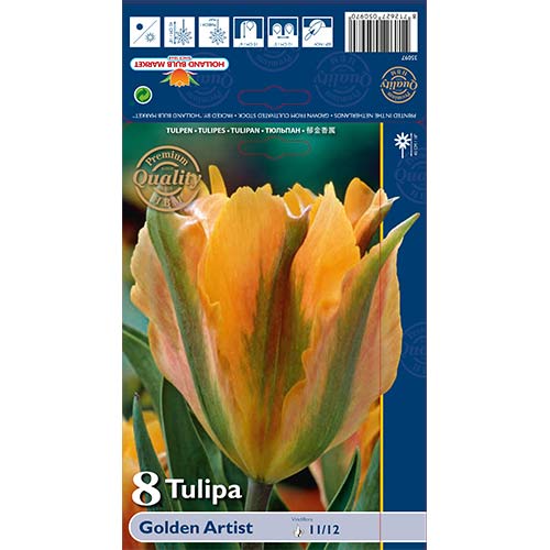 Tulpe Golden Artist interface.art Bild 1 Tulpe Golden Artist interface.image 1 interface.art 68032