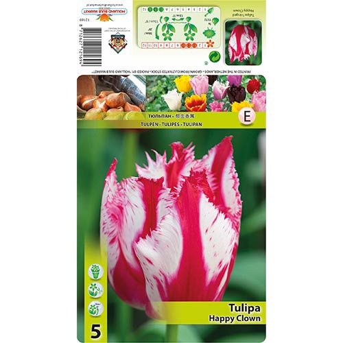 Tulpe Happy Clown interface.image 1 interface.art 68398