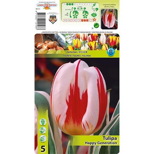 Tulpe Happy Generation interface.art Bild 1 Tulpe Happy Generation interface.image 1 interface.art 68049