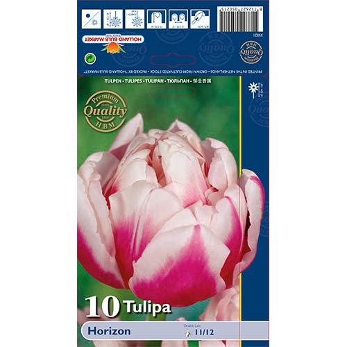 Tulpe Horizon interface.image 1 interface.art 68109