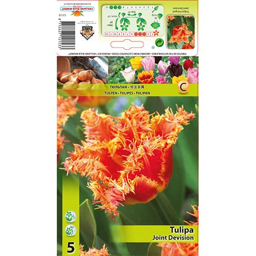 Tulpe Joint Devision interface.image 1 interface.art 70290