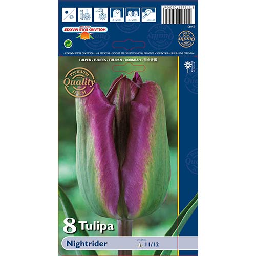 Tulpe Night Rider interface.image 1 interface.art 68044