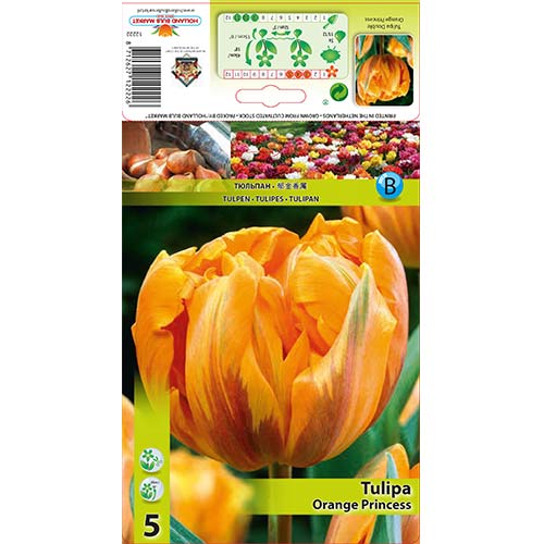Tulpe Orange Princess interface.image 1 interface.art 67781