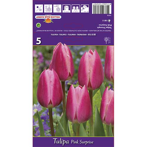Tulpe Pink Surprise interface.image 1 interface.art 67795