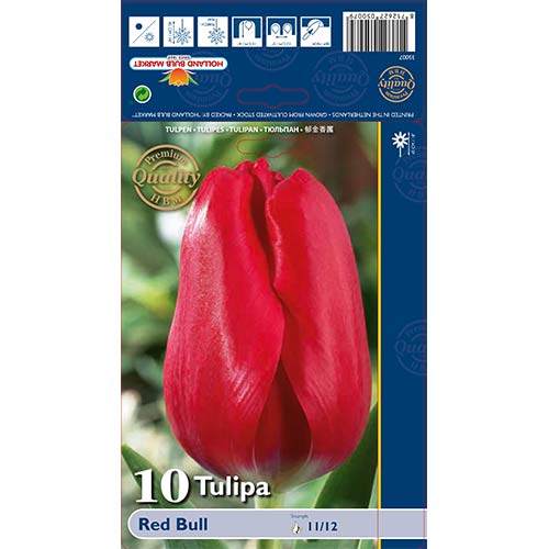 Tulpe Red Bull interface.image 1 interface.art 70261