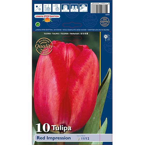 Tulpe Red Impression interface.image 1 interface.art 67813