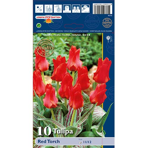 Tulpe Red Torch interface.image 1 interface.art 67814