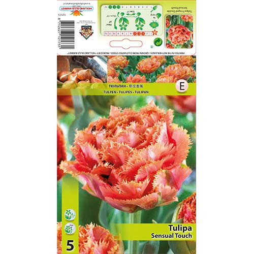 Tulpe Sensual Touch interface.image 1 interface.art 67831