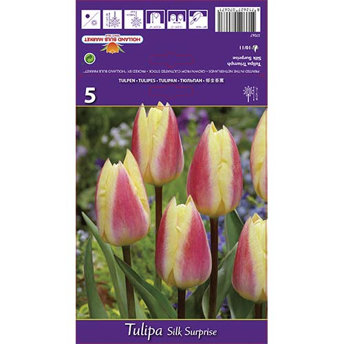 Tulpe Silk Surprise interface.image 1 interface.art 68117