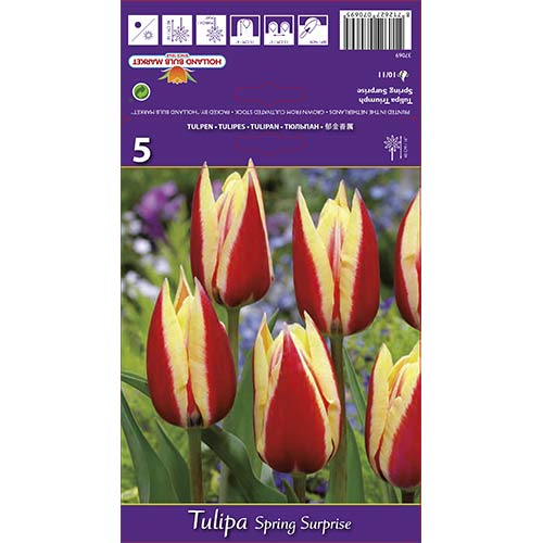 Tulpe Spring Surprise interface.image 1 interface.art 68112