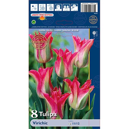 Tulpe Virichic interface.image 1 interface.art 67712
