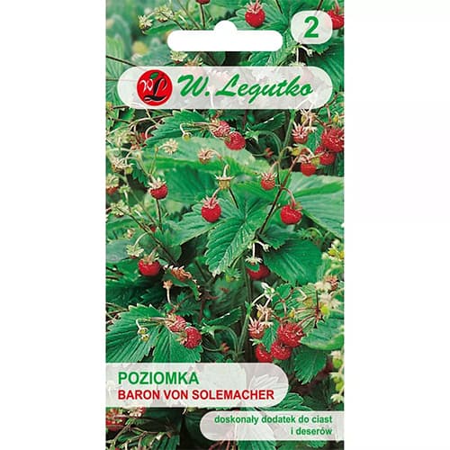 Walderdbeere Baron von Solemacher interface.image 1 interface.art 69529