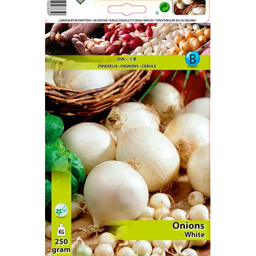 Weiße Zwiebeln interface.art Bild 1 Weiße Zwiebeln interface.image 1 interface.art 70497