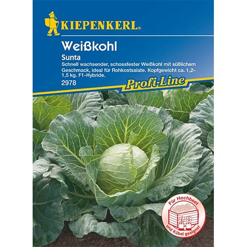 Weißkohl Sunta F1 interface.image 1 interface.art 87297