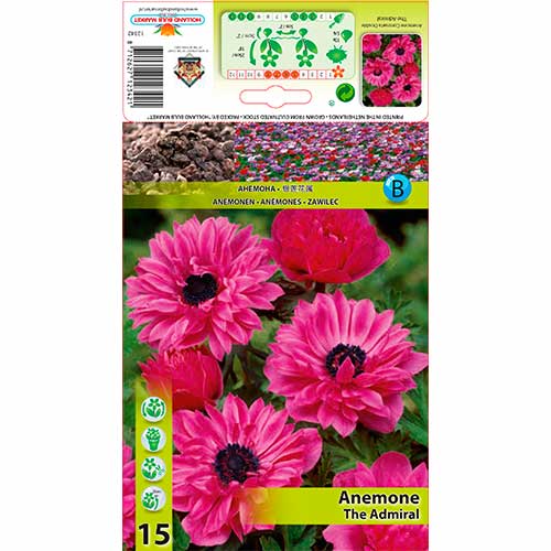 Windröschen (Anemone) The Admiral interface.image 1 interface.art 76168