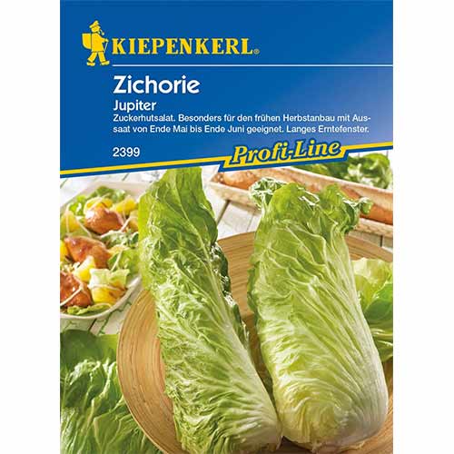 Zichorie Jupiter F1 interface.image 1 interface.art 96686