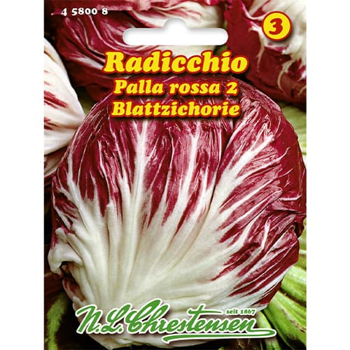 Radicchio Palla rossa 2 interface.art Bild 1 Radicchio Palla rossa 2 interface.image 1 interface.art 86083
