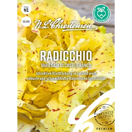 Radicchio Variegata di Castelfranco interface.image 1 interface.art 86082