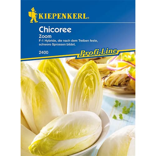 Chicoree Zoom F1 interface.image 1 interface.art 86424