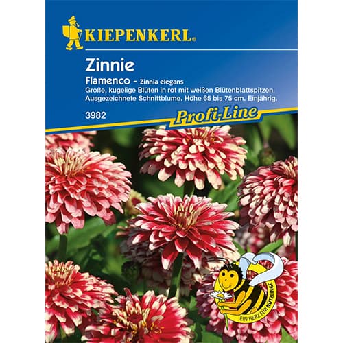 Zinnie Flamenco interface.art Bild 1 Zinnie Flamenco interface.image 1 interface.art 86359