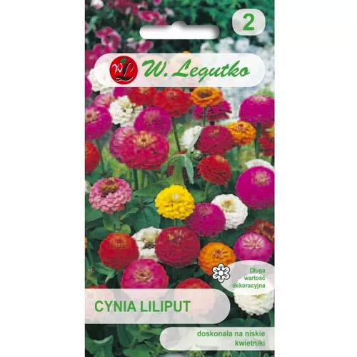 Zinnie Liliput mischung Legutko interface.art Bild 1 Zinnie Liliput mischung Legutko interface.image 1 interface.art 69578