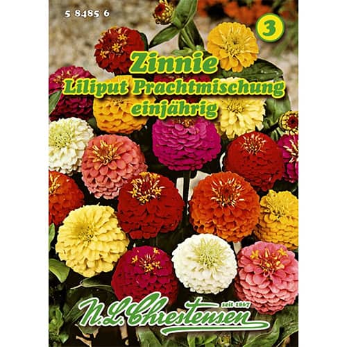 Zinnie Liliput Prachtmischung interface.art Bild 1 Zinnie Liliput Prachtmischung interface.image 1 interface.art 87823