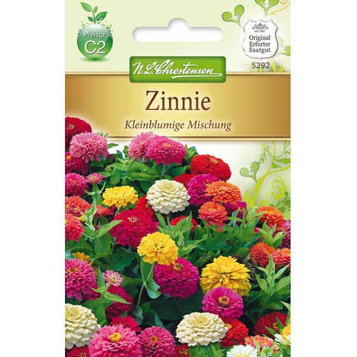 Zinnie Kleinblumigemischung interface.art Bild 1 Zinnie Kleinblumigemischung interface.image 1 interface.art 78949