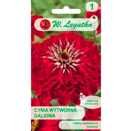 Zinnie Scarlet Flame Legutko interface.art Bild 1 Zinnie Scarlet Flame Legutko interface.image 1 interface.art 69576