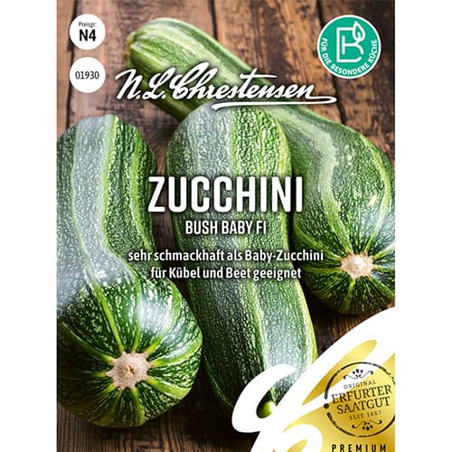 Zucchini Bush Baby F1 interface.image 1 interface.art 86103