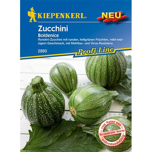 Zuccini Boldenice F1 Kiepenkerl interface.art Bild 1 Zuccini Boldenice F1 Kiepenkerl interface.image 1 interface.art 50074