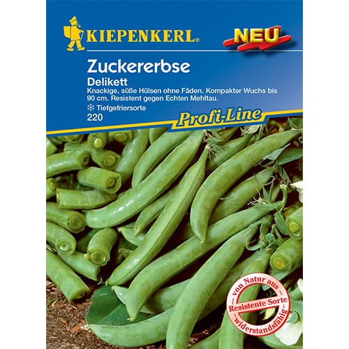 Zuckererbse Delikata Kiepenkerl interface.art Bild 1 Zuckererbse Delikata Kiepenkerl interface.image 1 interface.art 86369