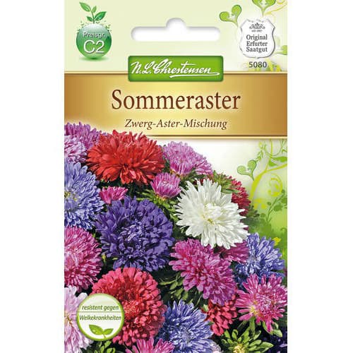 Sommeraster Zwerg - Aster interface.art Bild 1 Sommeraster Zwerg - Aster interface.image 1 interface.art 78897