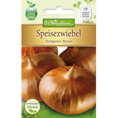 Speisezwiebel Stuttgarter Riesen interface.image 1 interface.art 78758