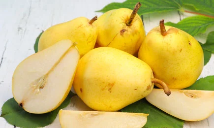 Geschmack des Sommers | Haus und Garten