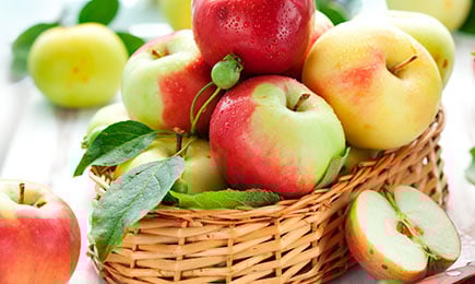 Große Früchte | Haus und Garten