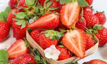 Honig Delikatesse | Haus und Garten