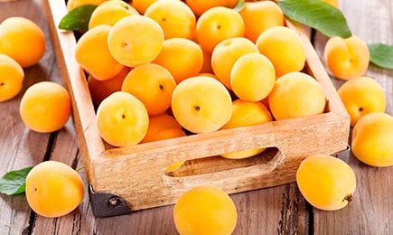 Honig Geschmack | Haus und Garten