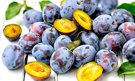 Königliche Ernte | Haus und Garten