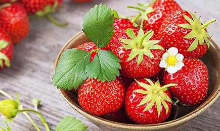 Saftige Süße | Haus und Garten