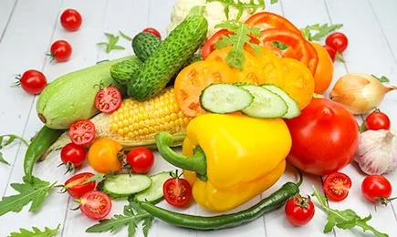 Saison-Neuheiten | Haus und Garten